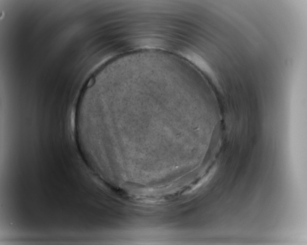 X0000089870790200707191937