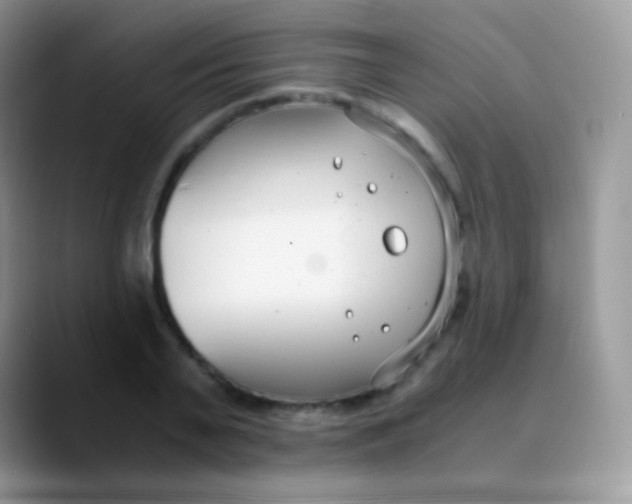 X0000089870791200707191937