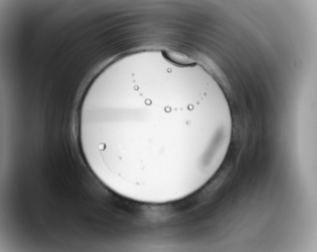 X0000089870804200707191937