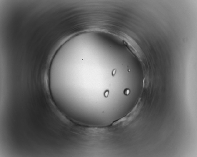 X0000089870812200707191937