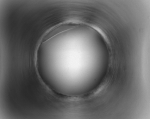 X0000089870815200707191937