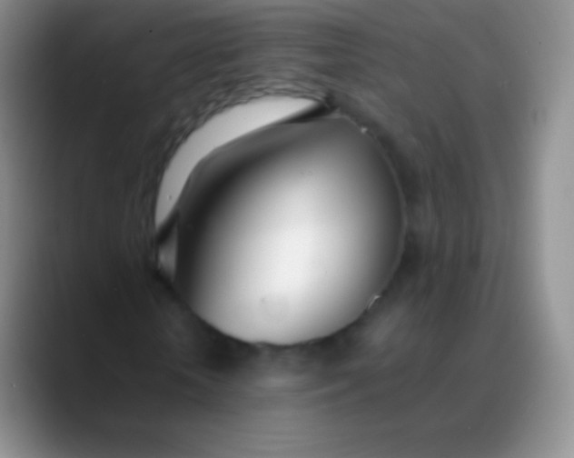 X0000089870818200707191937