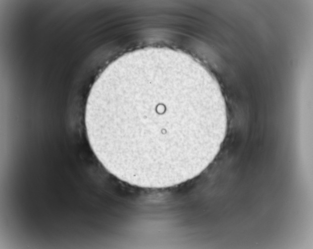 X0000089870824200707191937