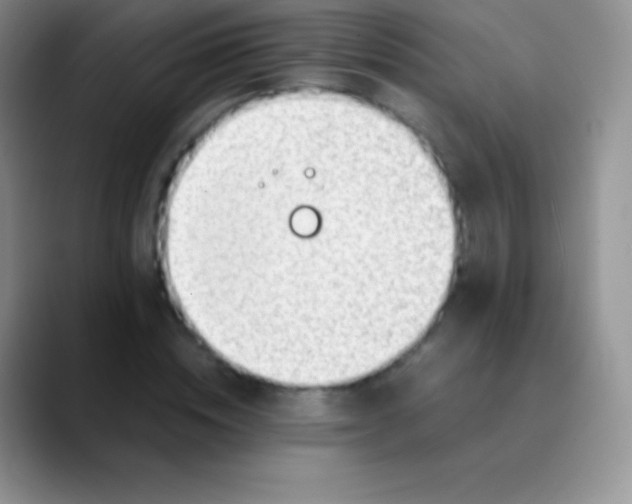 X0000089870828200707191937