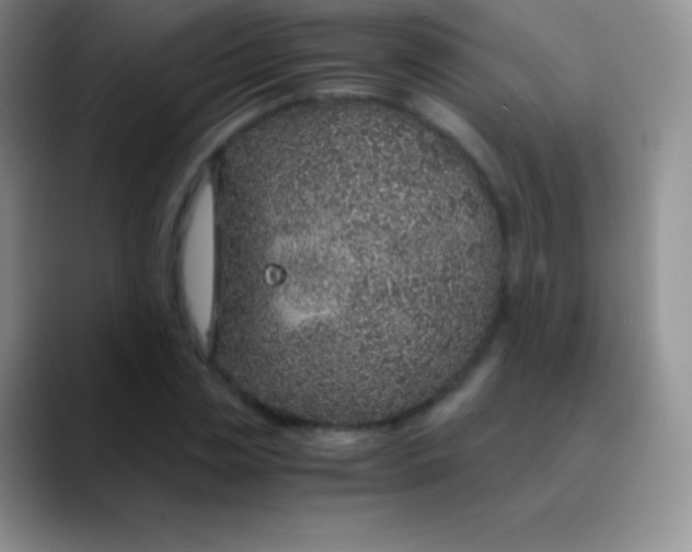 X0000089870829200707191937