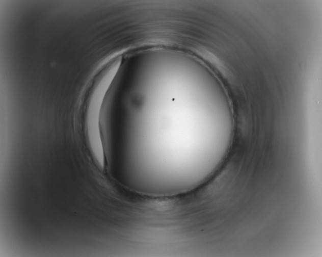 X0000089870830200707191937