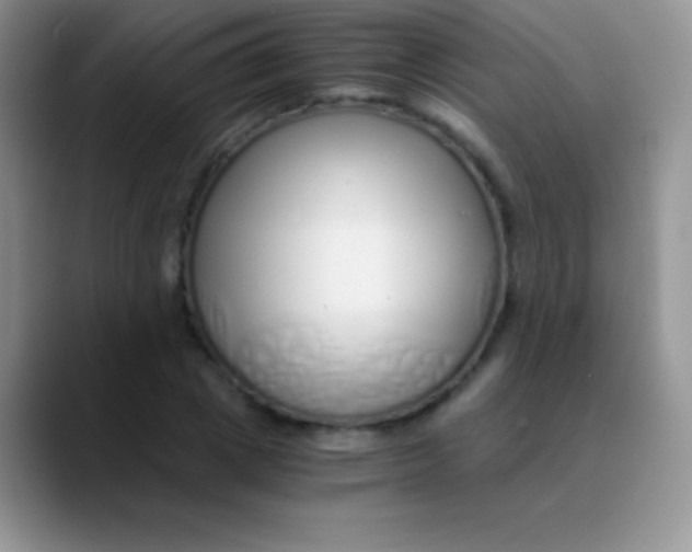 X0000089870833200707191937