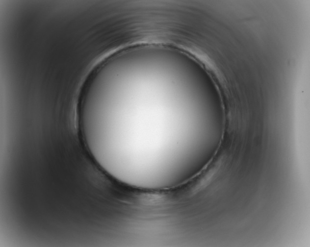 X0000089870838200707191937