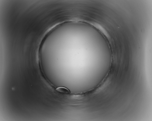 X0000089870839200707191937