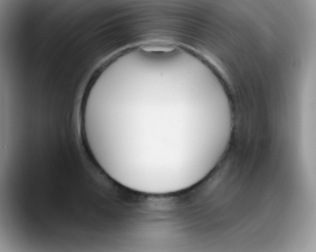 X0000089870840200707191937