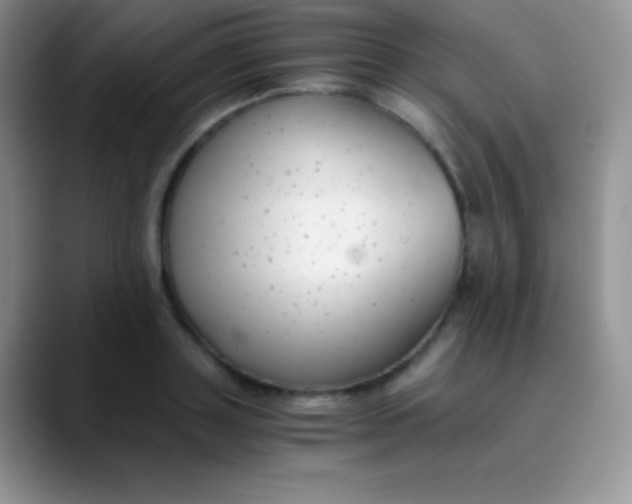 X0000089870843200707191937