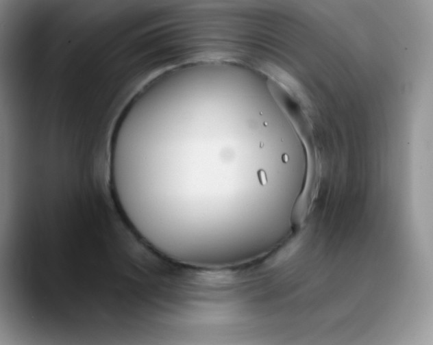 X0000089870844200707191937