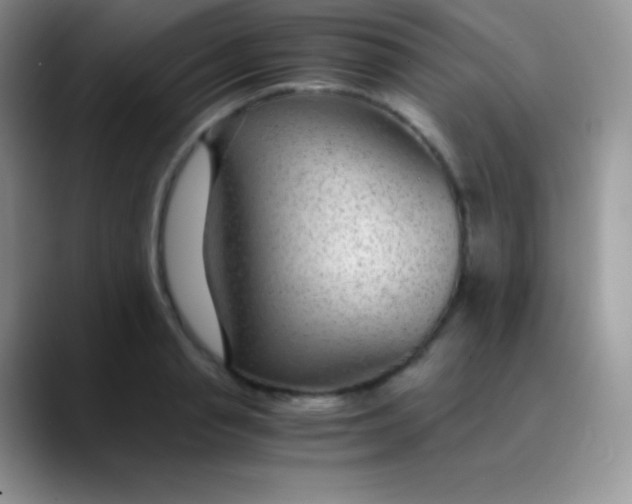 X0000089870845200707191937