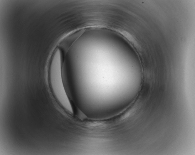 X0000089870846200707191937