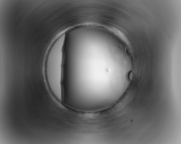 X0000089870847200707191937