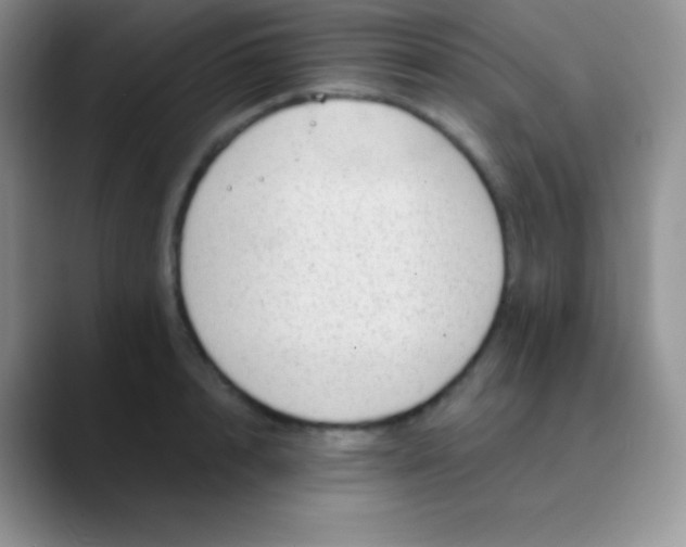 X0000089870848200707191937