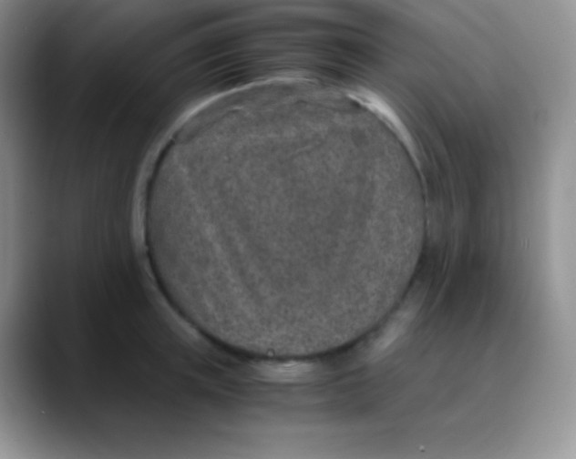 X0000089870851200707191937