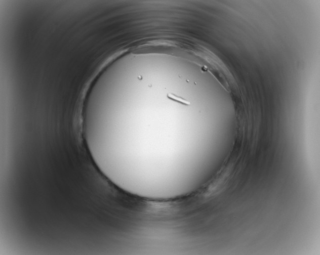 X0000089870852200707191937