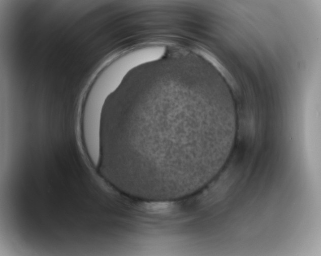 X0000089870853200707191937