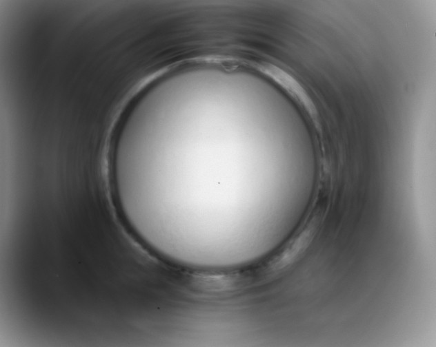 X0000089870855200707191937