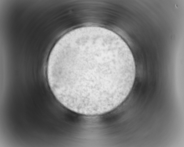 X0000089870856200707191937