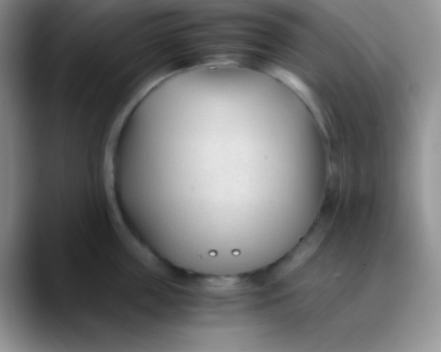 X0000089870859200707191937