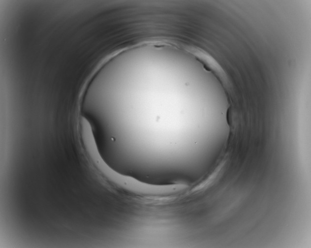 X0000089870860200707191937