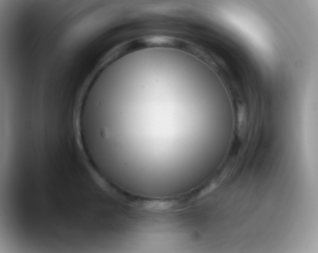 X0000089870861200707191937