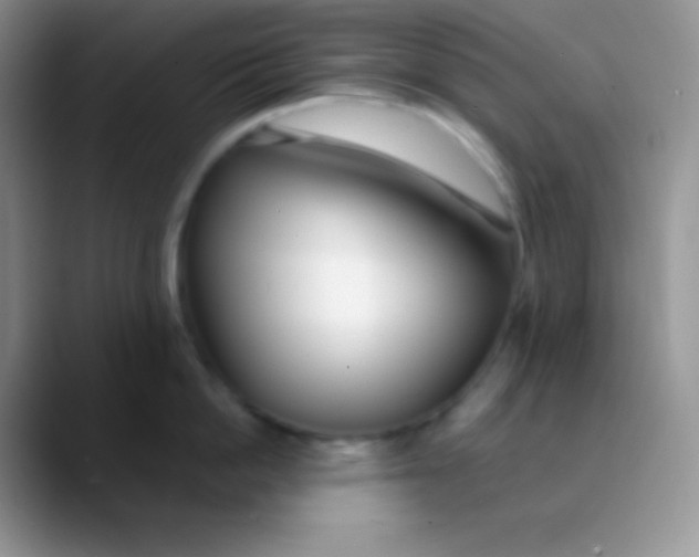 X0000089870862200707191937