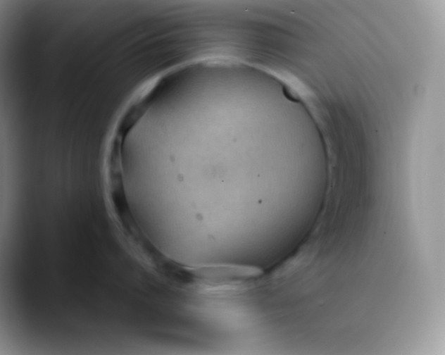 X0000089870864200707191937