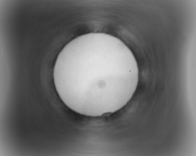 X0000089870865200707191936