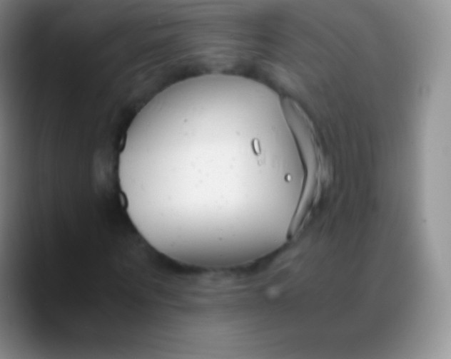 X0000089870867200707191936