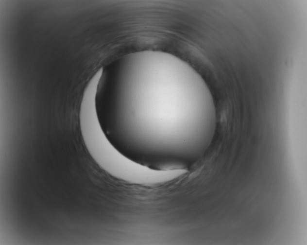 X0000089870868200707191936