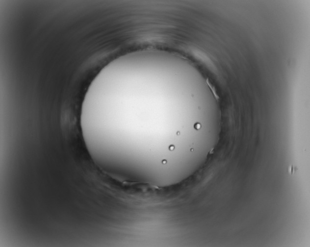 X0000089870872200707191936