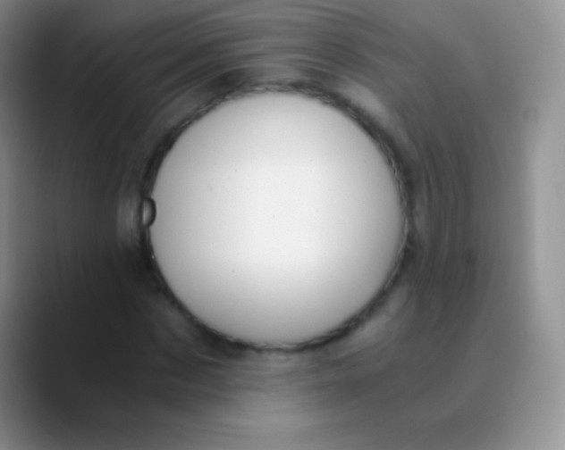 X0000089870873200707191936