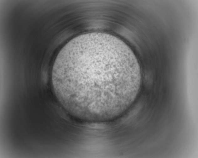 X0000089870874200707191936