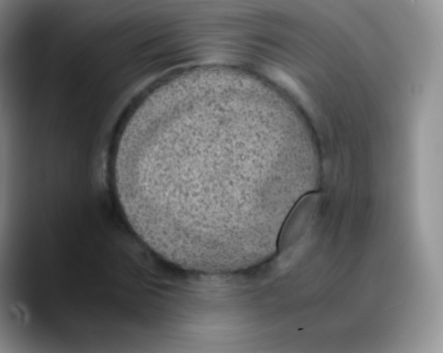 X0000089870875200707191936