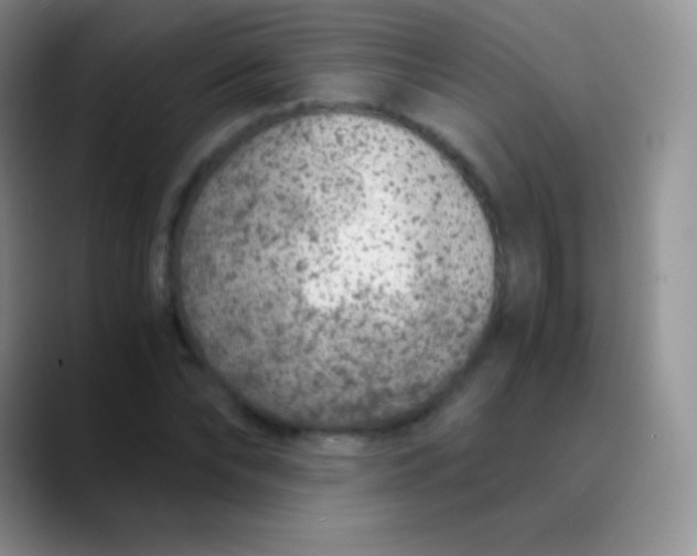 X0000089870878200707191936