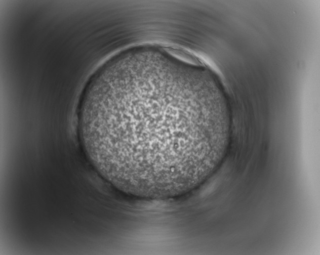 X0000089870879200707191936