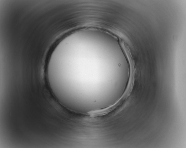 X0000089870880200707191936