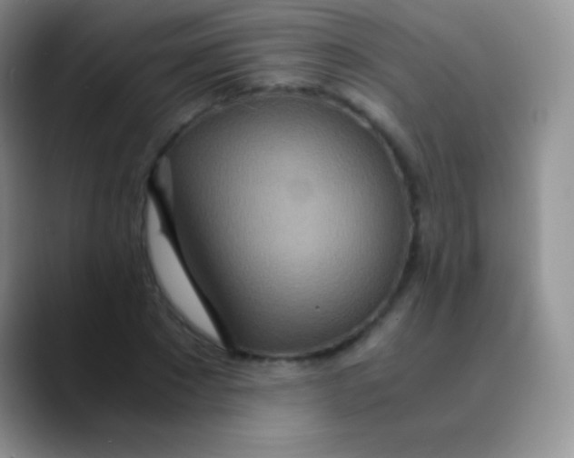 X0000089870881200707191936