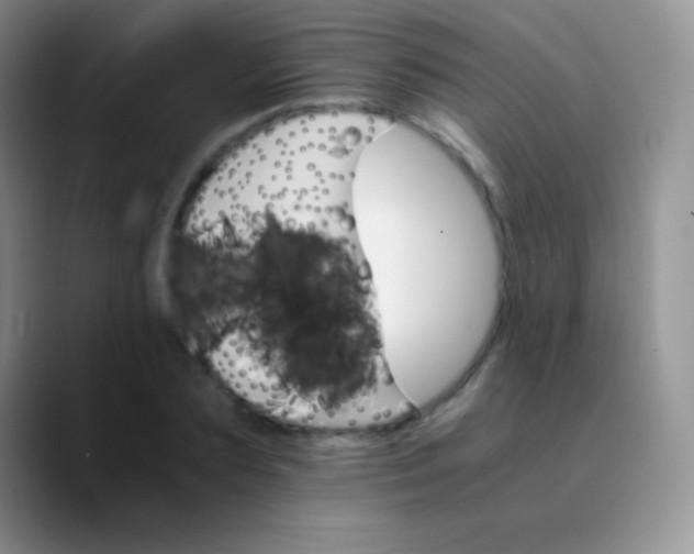 X0000089870883200707191936