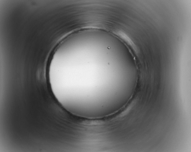 X0000089870884200707191936