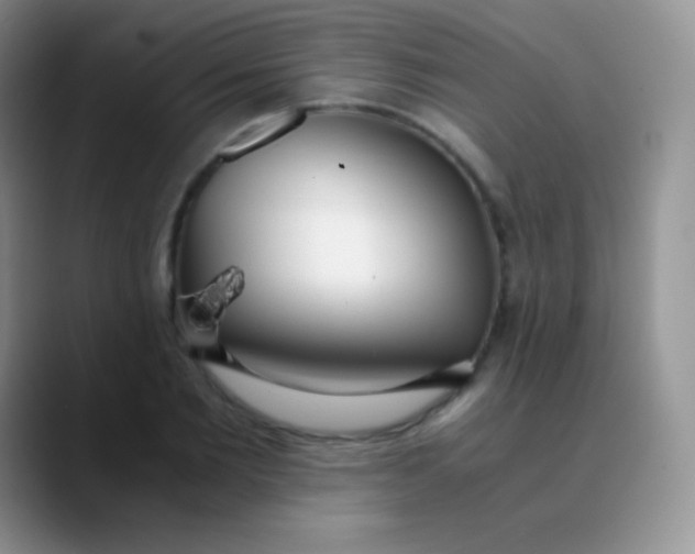 X0000089870885200707191936