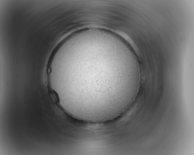 X0000089870887200707191936