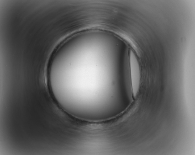 X0000089870888200707191936