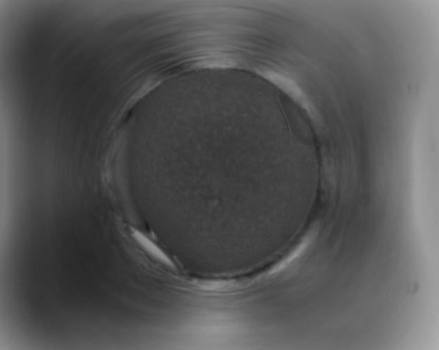 X0000089870889200707191936