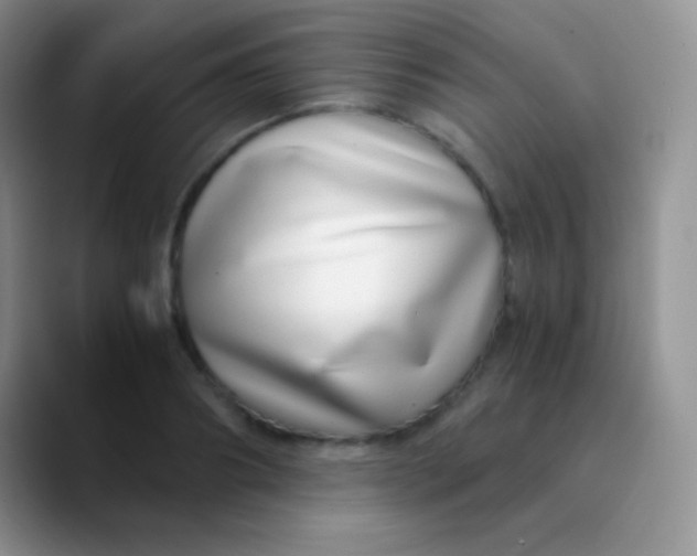 X0000089870890200707191936