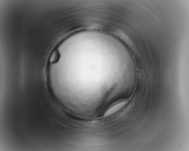 X0000089870891200707191936