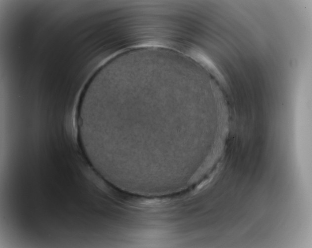 X0000089870892200707191936